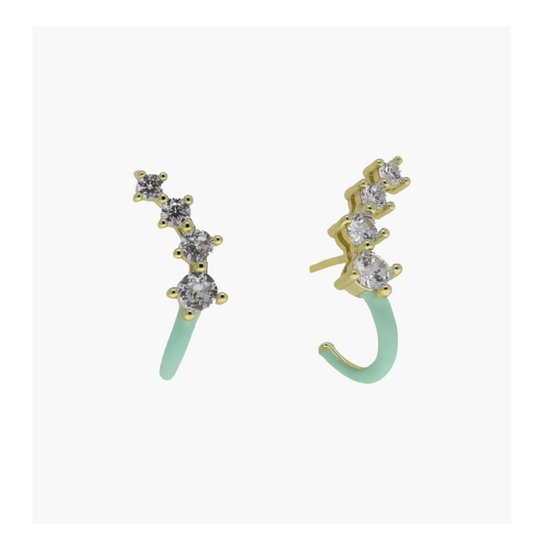 Jardin d'Email Earrings