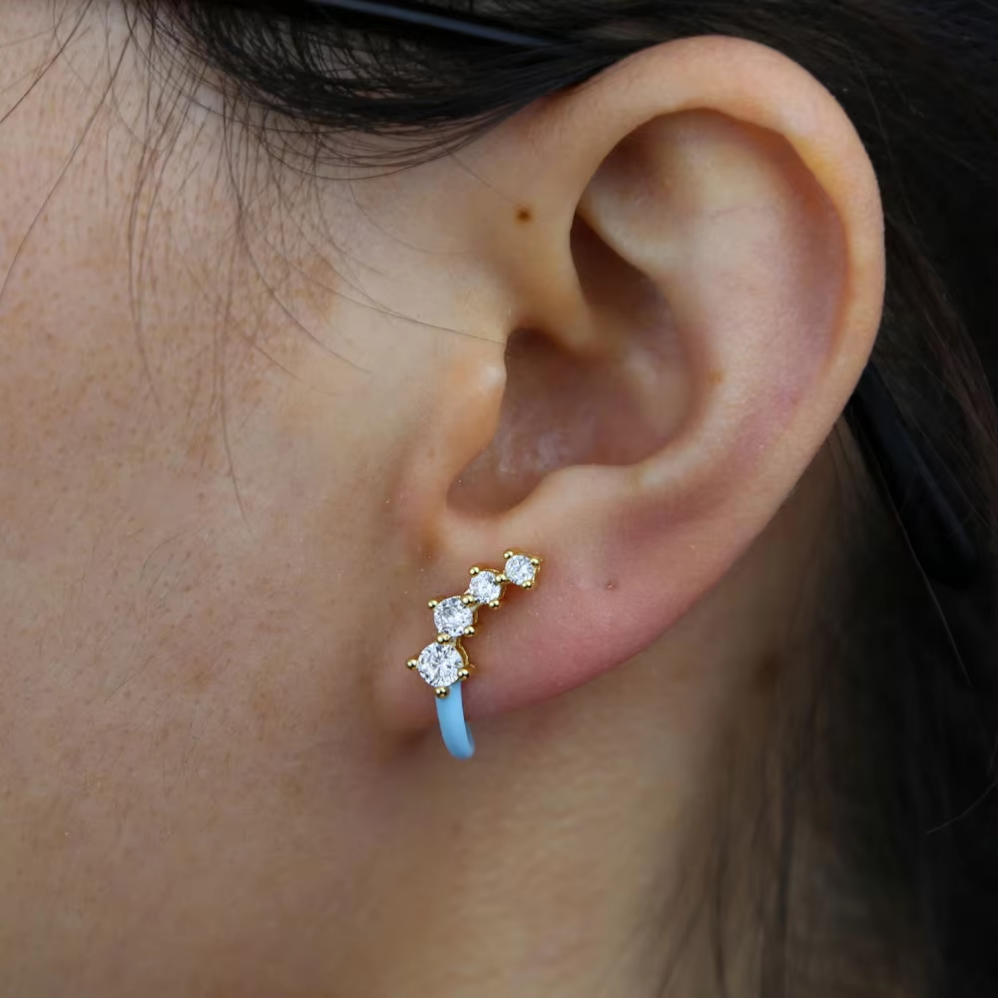 Jardin d'Email Earrings
